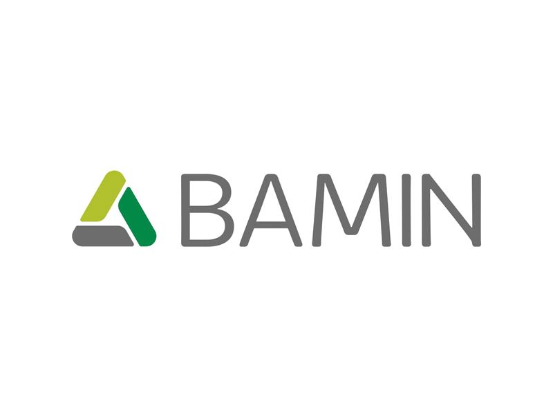 BAMIN